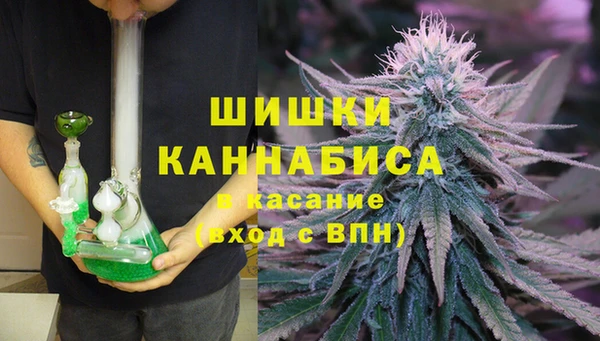 гашик Сафоново