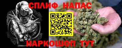 меф Краснознаменск