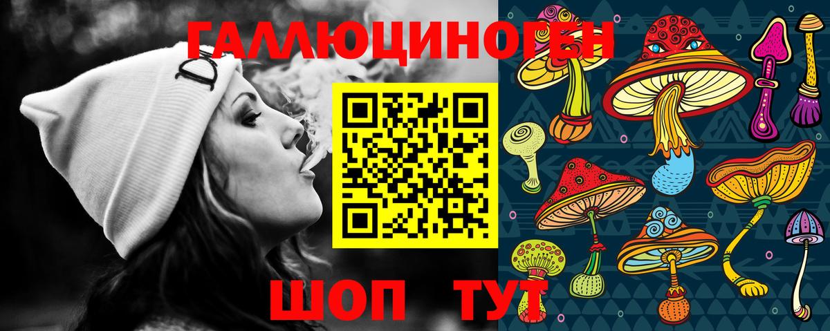 Знаменск  Псилоцибиновые грибы Magic Shrooms  Вход с VPN  Псилоцибиновые грибы мицелий 